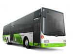 Wuzhoulong FDG6111 LNG 2006 года